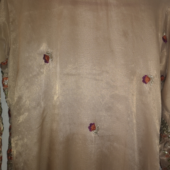 Pakistani Suit - Picture 8 of 11